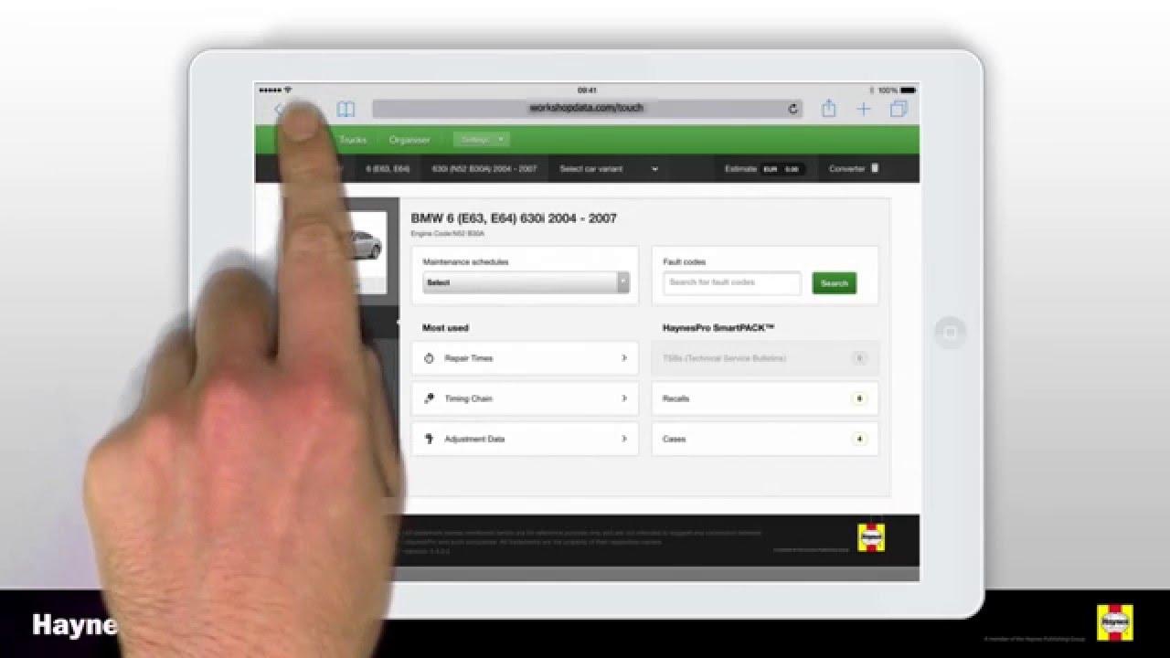 HaynesPro WorkshopData